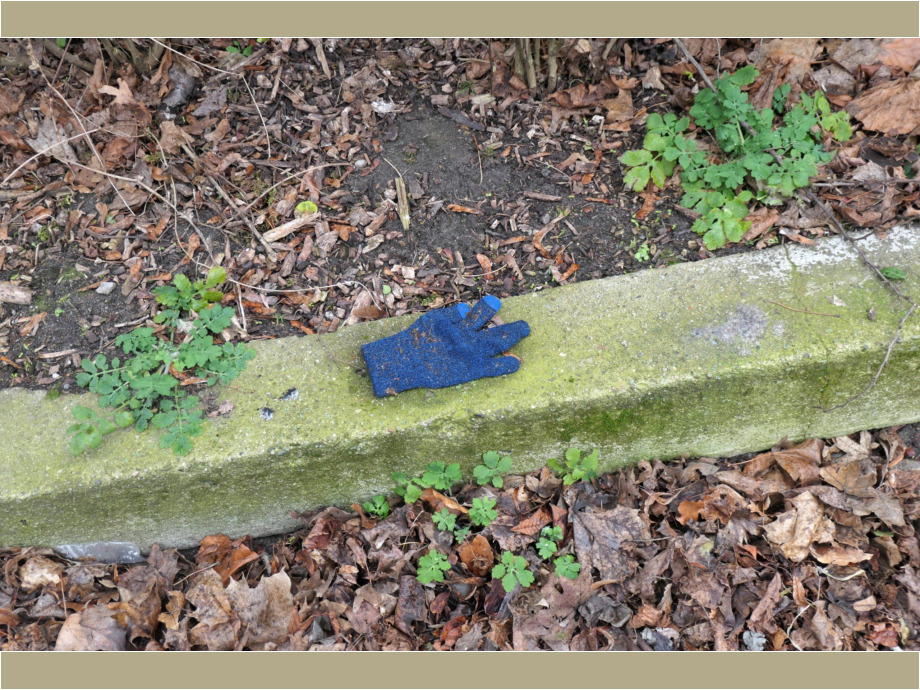 Hand-Schuh