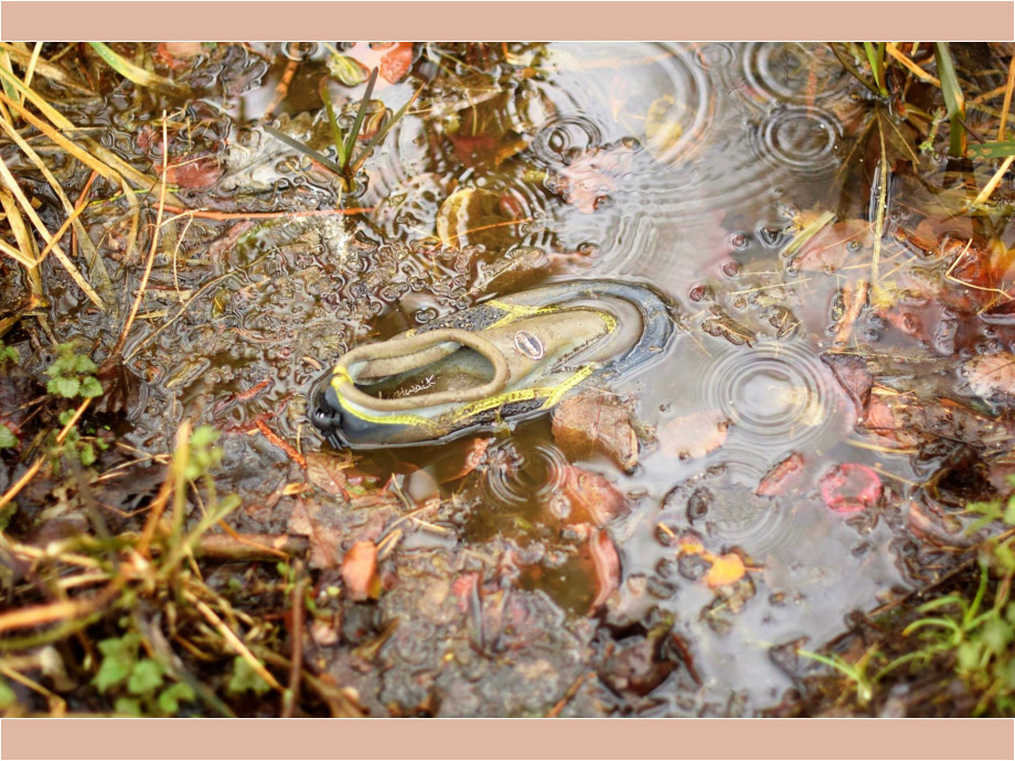 Im Tümpel am Nidda-Ufer