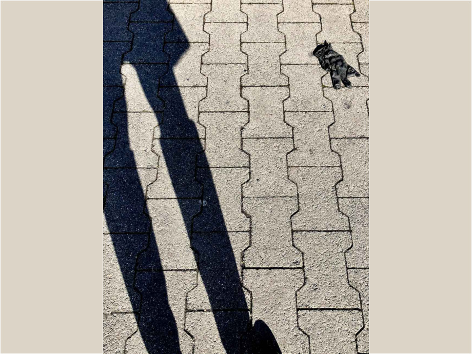 Schattenspiel
