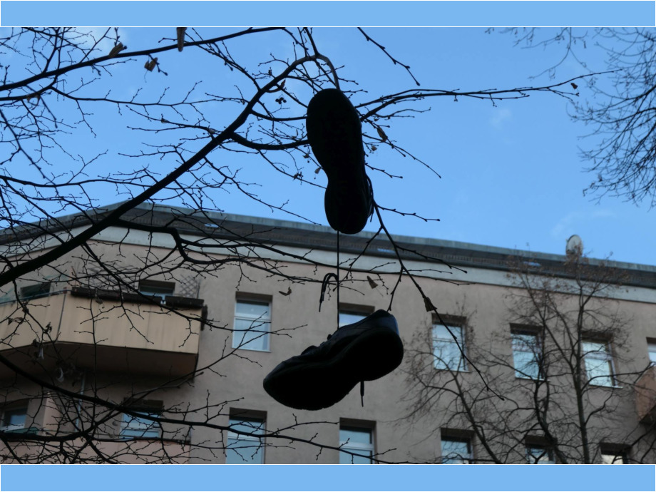 Schuhe im Baum