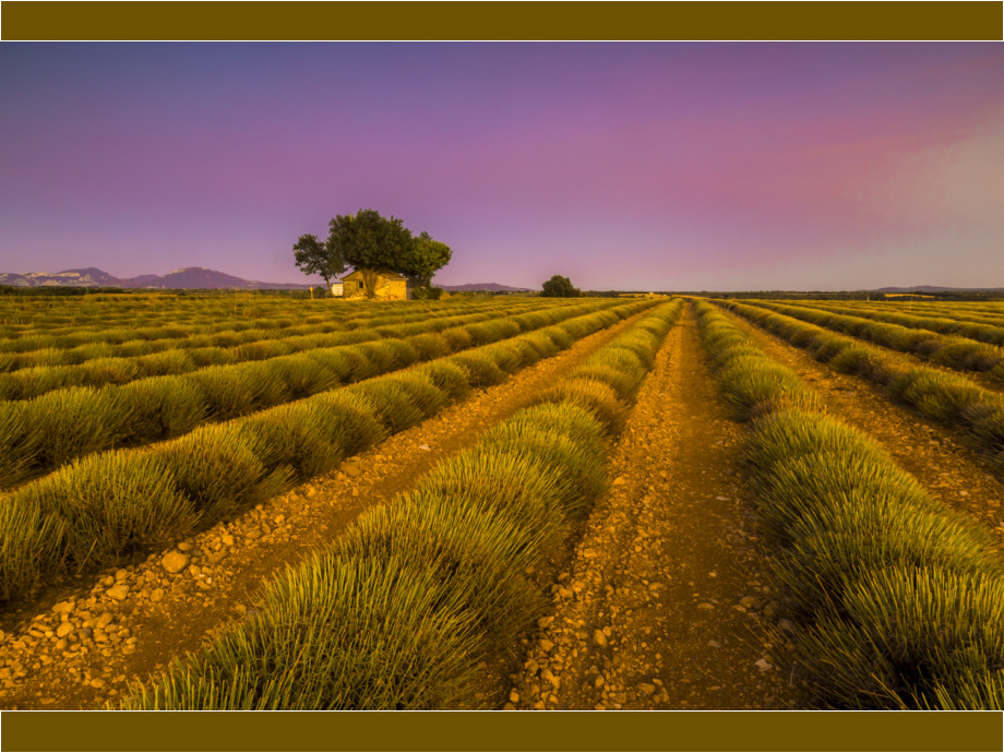 Provence Provence