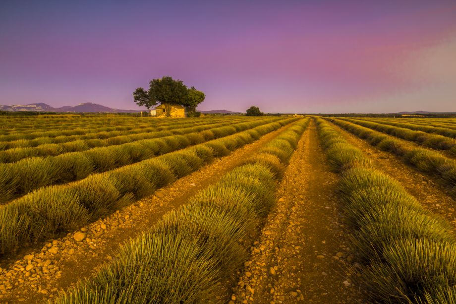 Provence