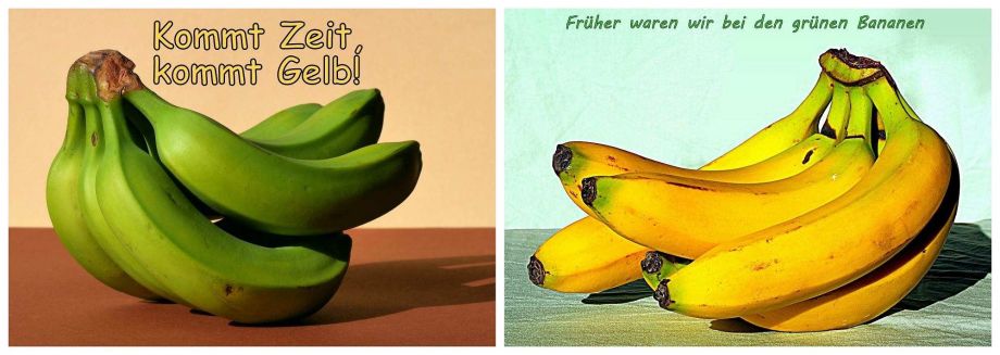 Erst grün, dann gelb Erst grün, dann gelb