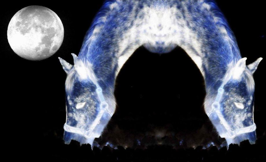 Fressen bei Mondschein Fressen bei Mondschein