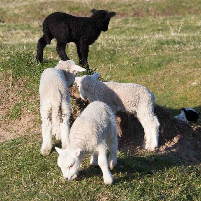 Naturkontrast Naturkontrast