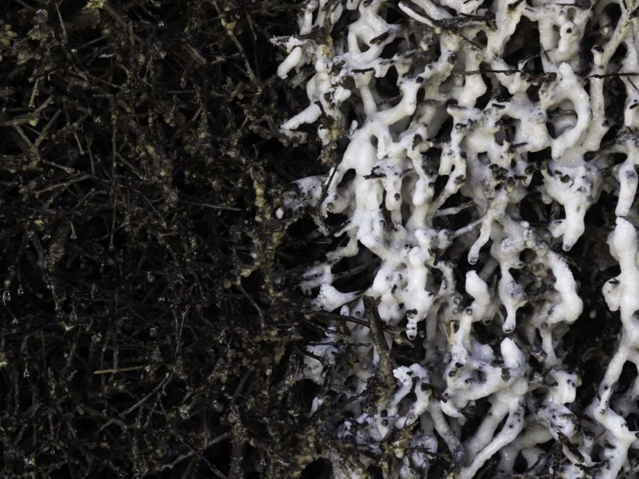 Salzspuren Salzspuren