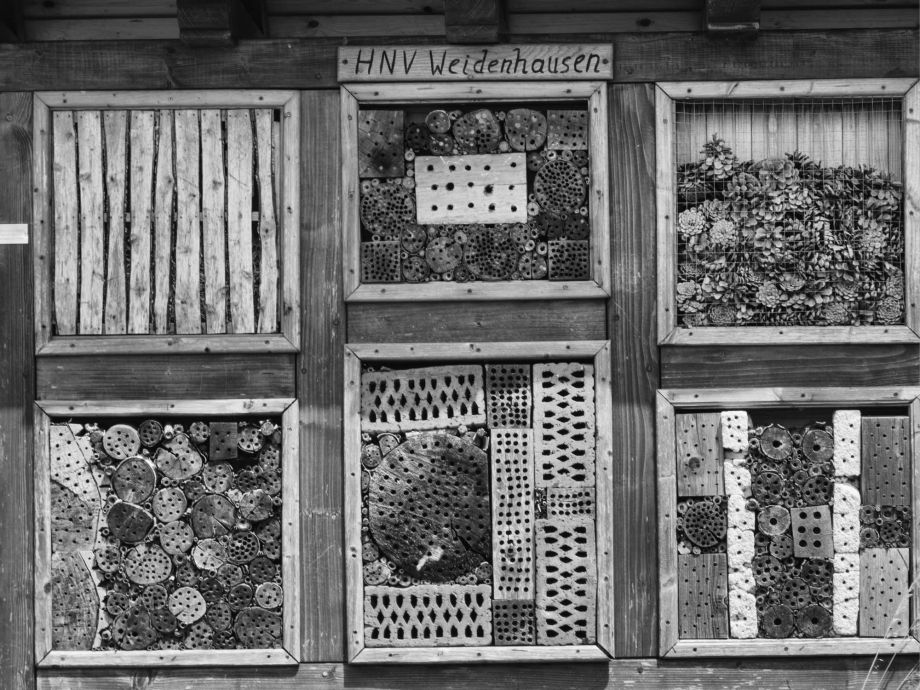 Überlebensort Überlebensort