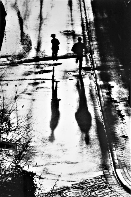 Nach Gewitterregen: Lichterfänger, Schattenspringer Nach Gewitterregen: Lichterfänger, Schattenspringer