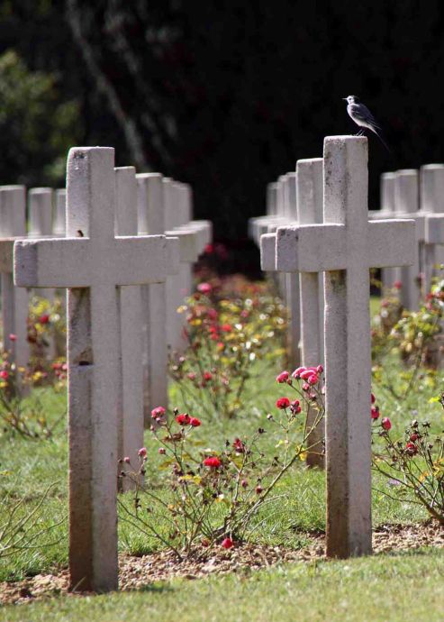 Verdun - Friedhof von Douamont