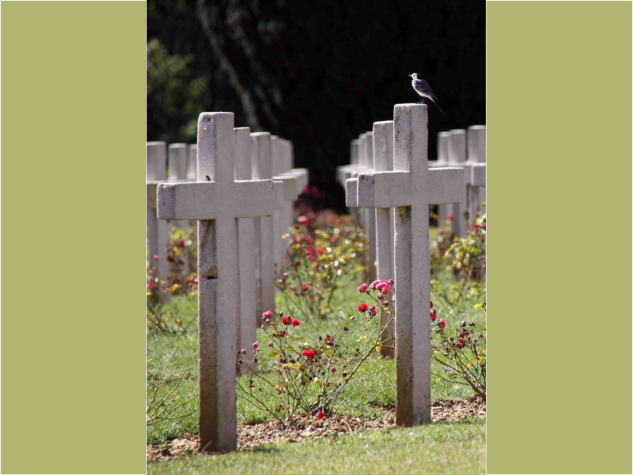 Foto: Manfred Semmler Verdun - Friedhof von Douamont