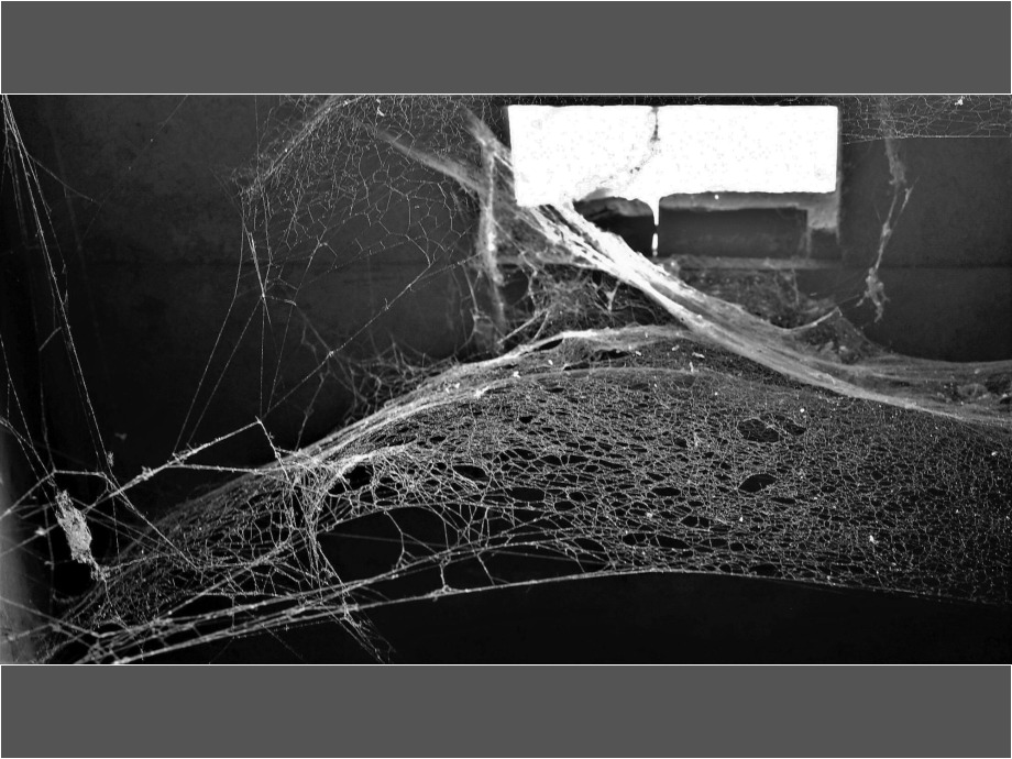 Dachfenster mit Spinnweben