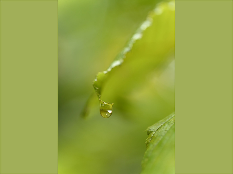 Vor dem Fall – Rain is coming