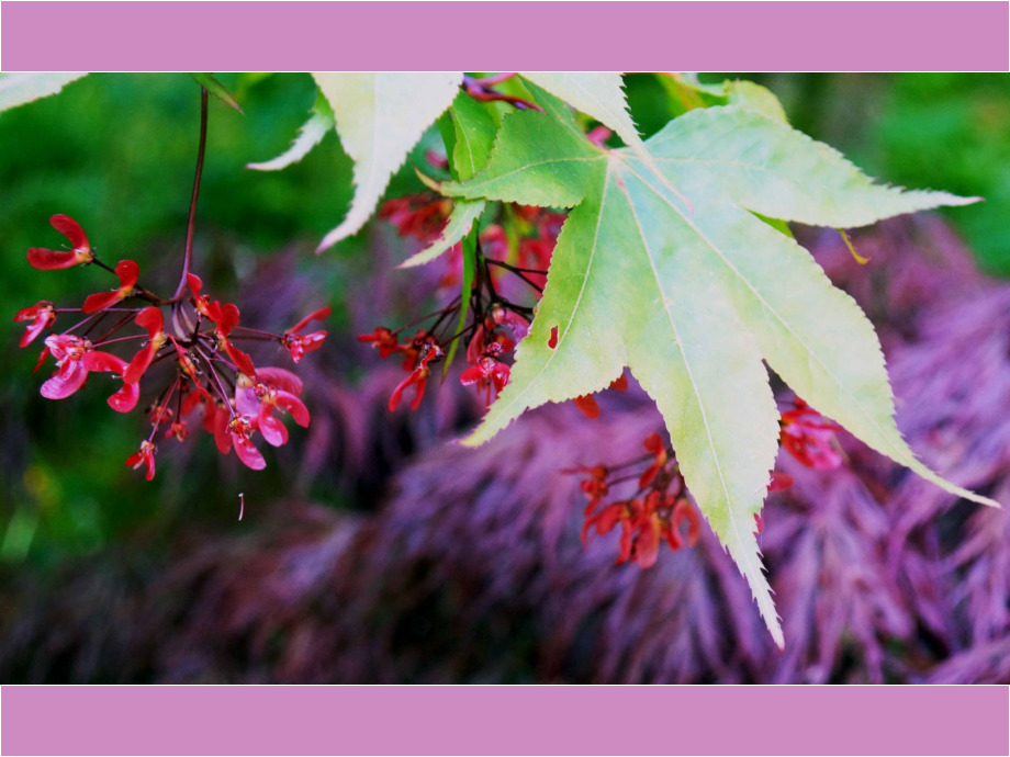 Nicht Herbst - Fruehling