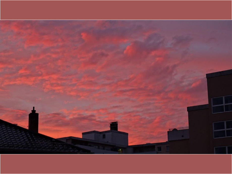 Morgens in Bornheim