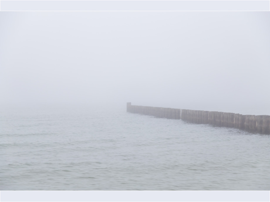 Morgennebel