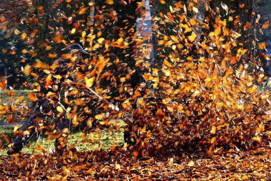 Mensch mit Laubgebläse Mensch mit Laubgebläse