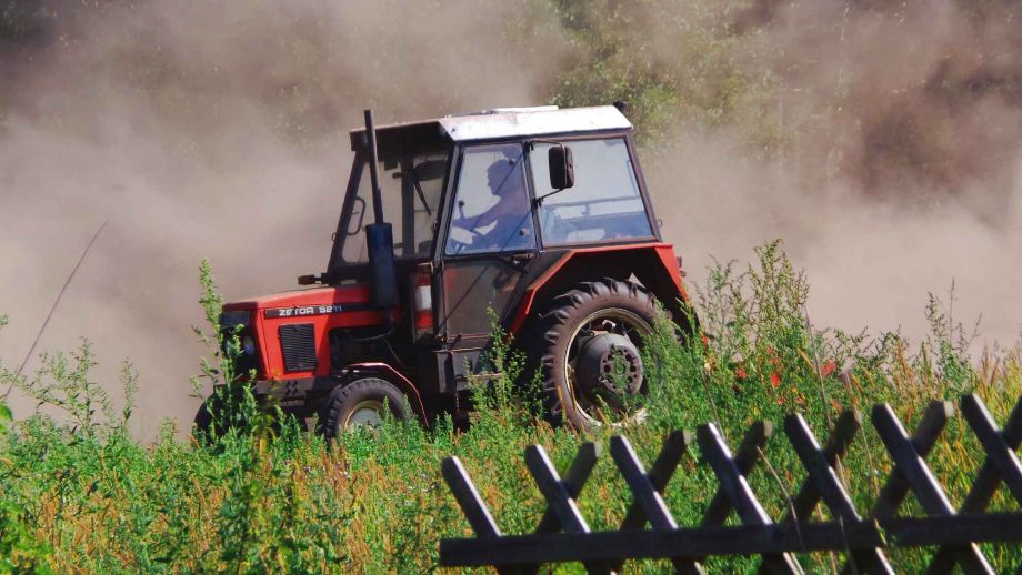 Auf dem Acker Auf dem Acker