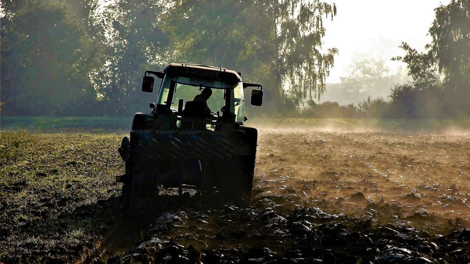 Lebendige Erde unterm Pflug