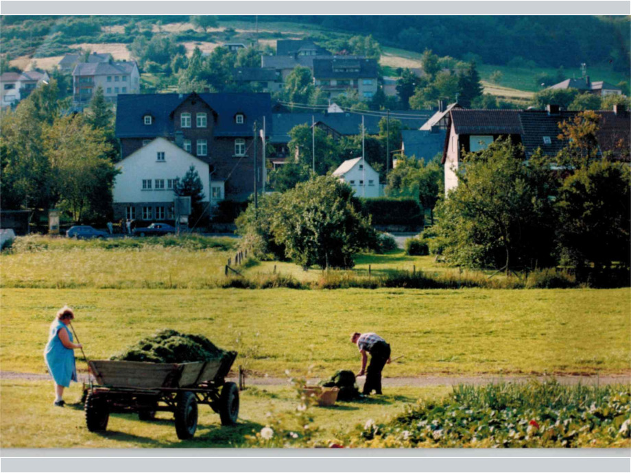 Viehfutter Grasschnitt (um 1970) Viehfutter Grasschnitt (um 1970)