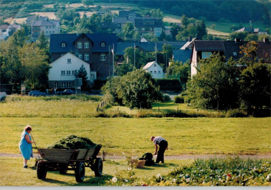 Viehfutter Grasschnitt (um 1970)