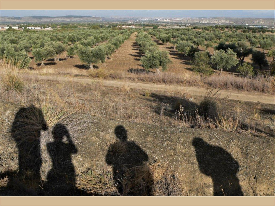 Blick Richtung Madrid