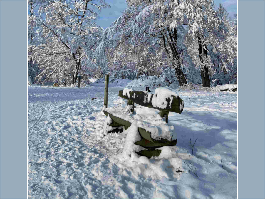 Bank im Schnee