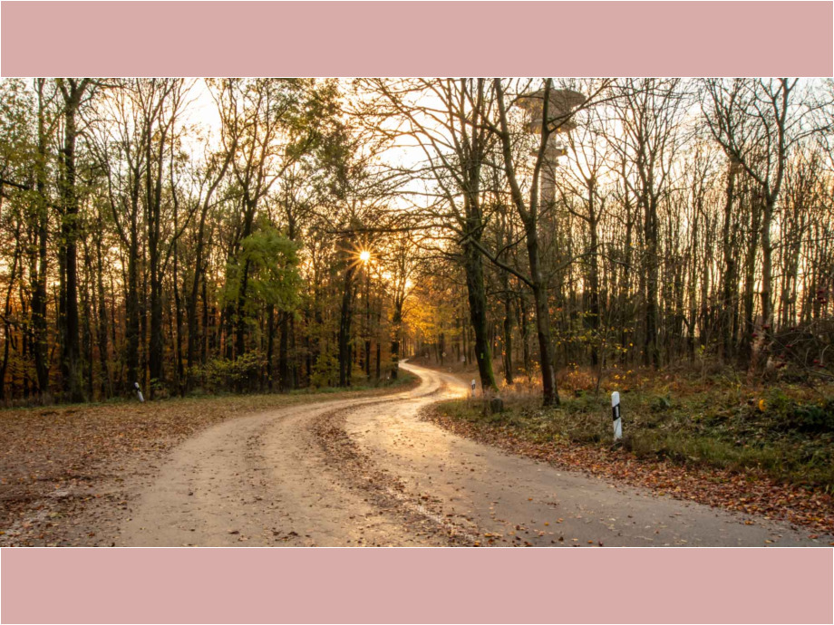 Der Eisenberg im goldenen Oktober