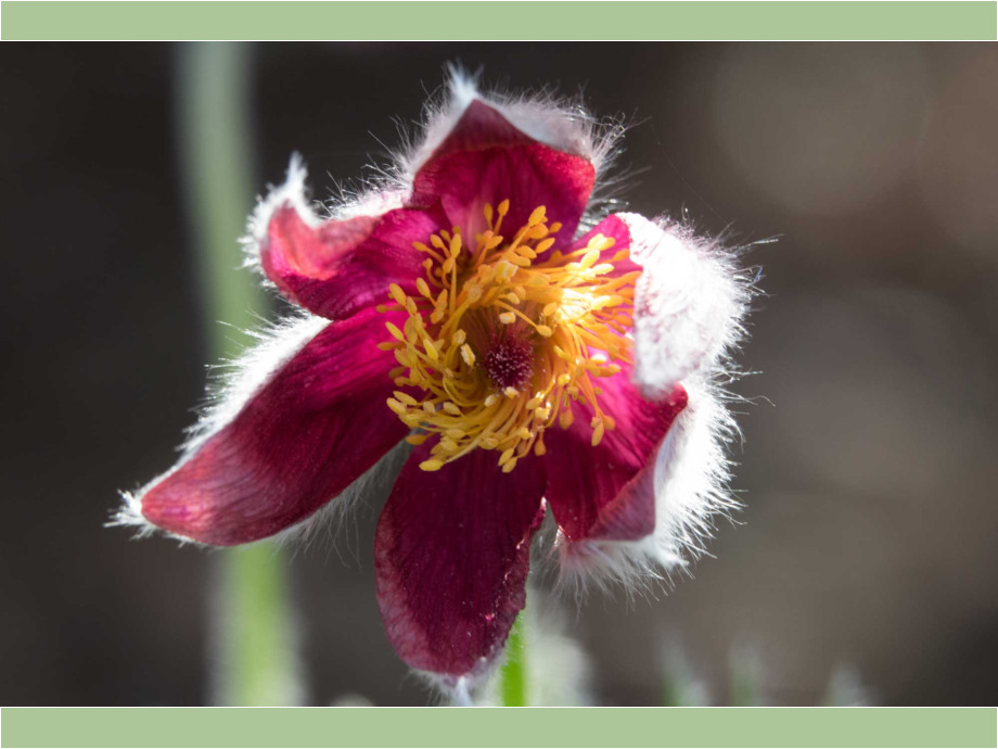 Durch den Wind