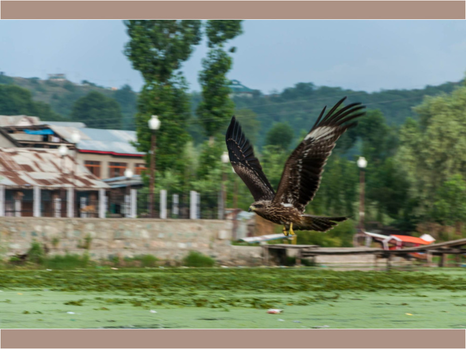 Anflug