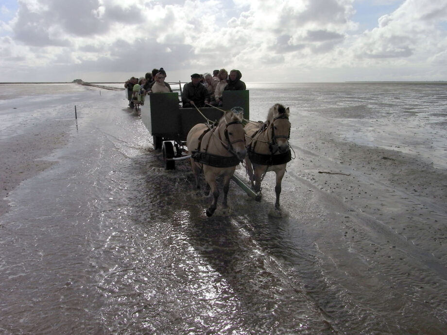 Nachmittagsstimmung im Watt Nachmittagsstimmung im Watt