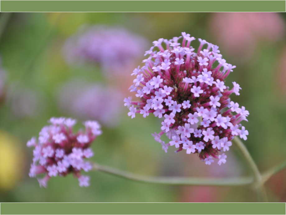 Bundesgartenschau Koblenz Bundesgartenschau Koblenz