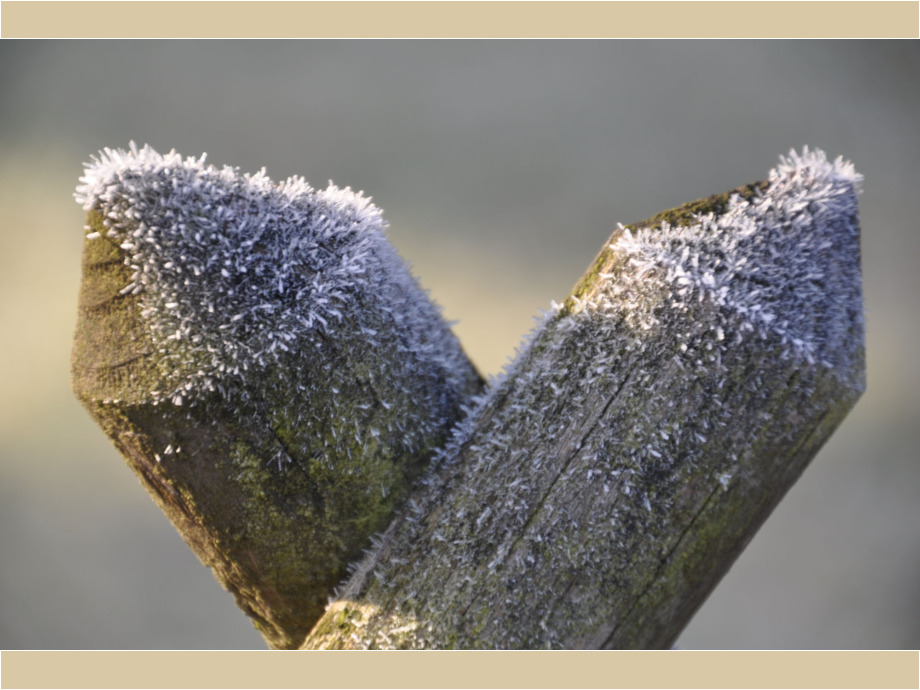 Rauhreif in Wißmar Rauhreif in Wißmar