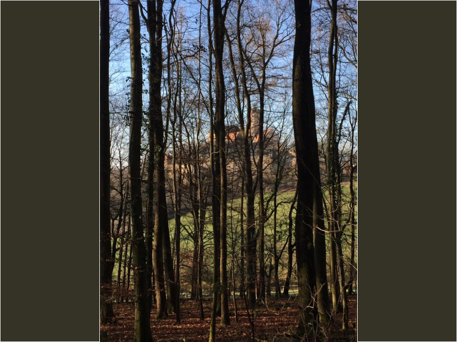 Ronneburg