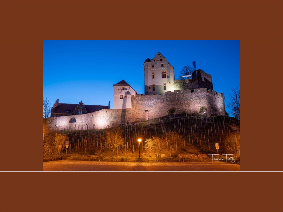 Burg Alzenau in der blauen Stunde