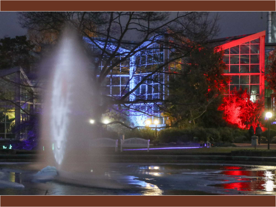 Wasser- und Lichtspiel im Palmengarten