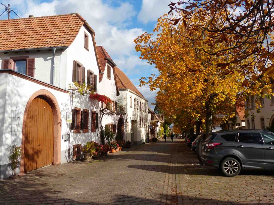 im oberen Teil der Theresienstraße reihen sich die Kastanienbäume im oberen Teil der Theresienstraße reihen sich die Kastanienbäume