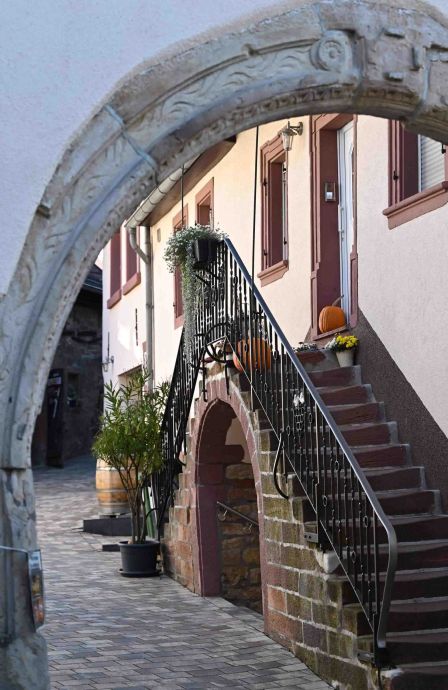 neugieriger Blick in einen Hof neugieriger Blick in einen Hof