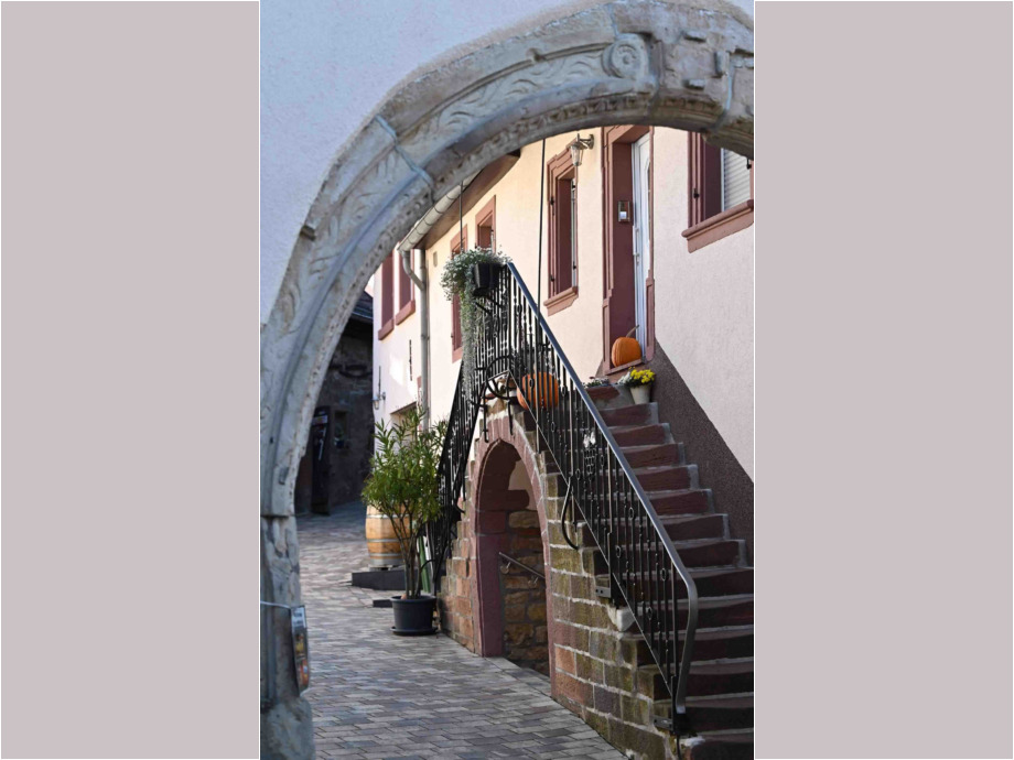 neugieriger Blick in einen Hof neugieriger Blick in einen Hof