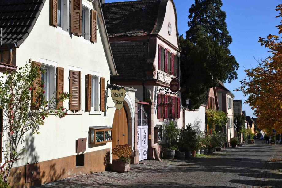 im mittleren Teil der Theresienstraße