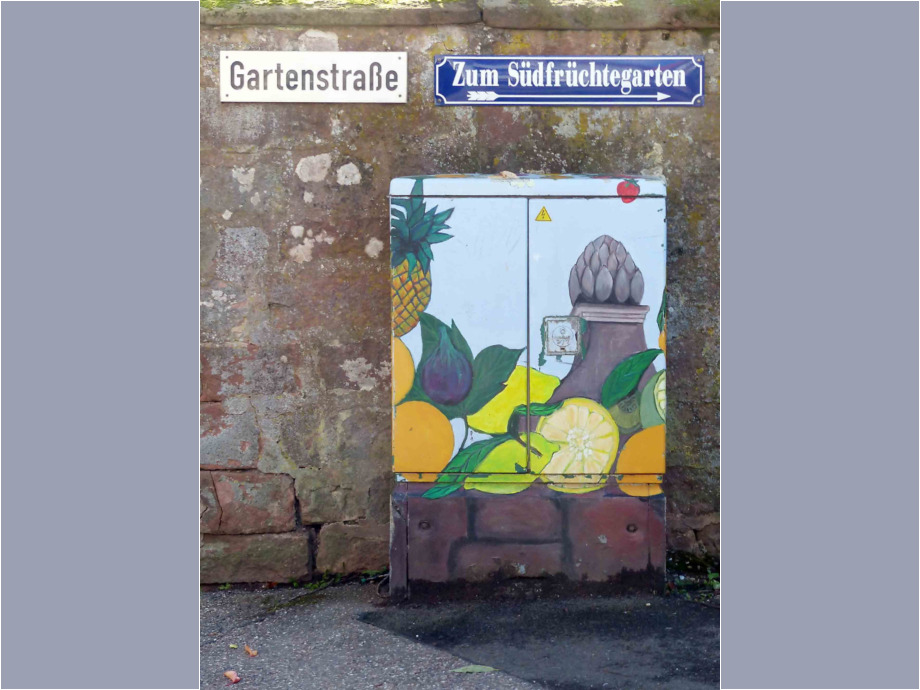 da geht es zum Südfrüchtegarten da geht es zum Südfrüchtegarten