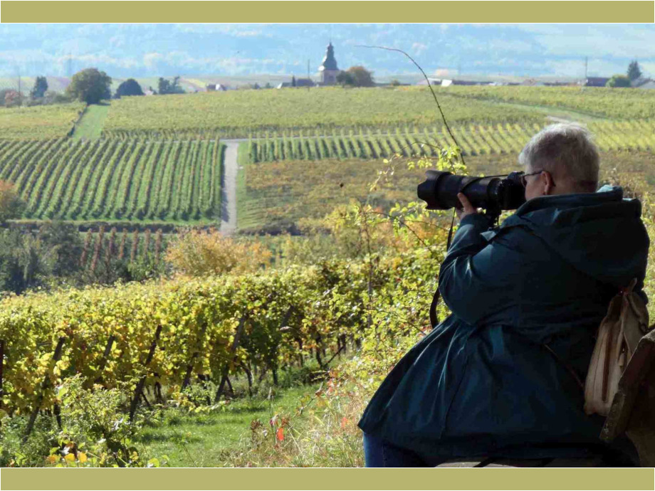 das Motiv fest im Blick das Motiv fest im Blick