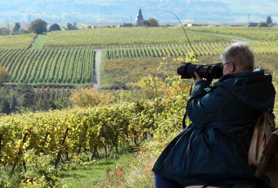 das Motiv fest im Blick das Motiv fest im Blick