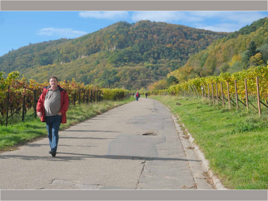 Wanderung durch die Weinfelder von Gleisweiler Wanderung durch die Weinfelder von Gleisweiler