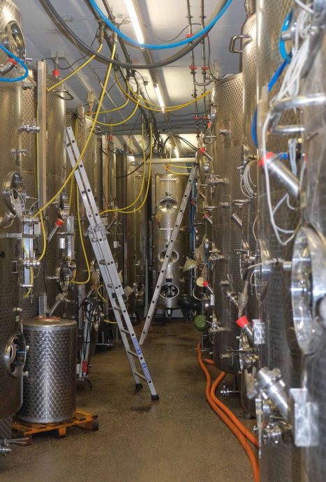 im Weinkeller im Weinkeller