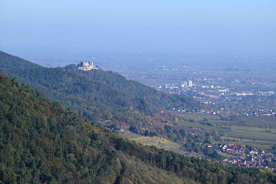 Blick von der Rietburg auf Hambacher Schloss und Neustadt a.d. Weinstraße Blick von der Rietburg auf Hambacher Schloss und Neustadt a.d. Weinstraße