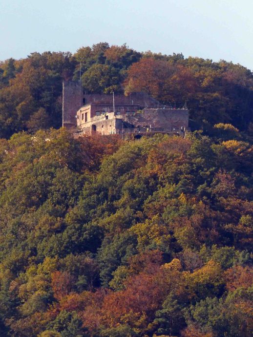 die Rietburg liegt in 530 Metern Höhe die Rietburg liegt in 530 Metern Höhe