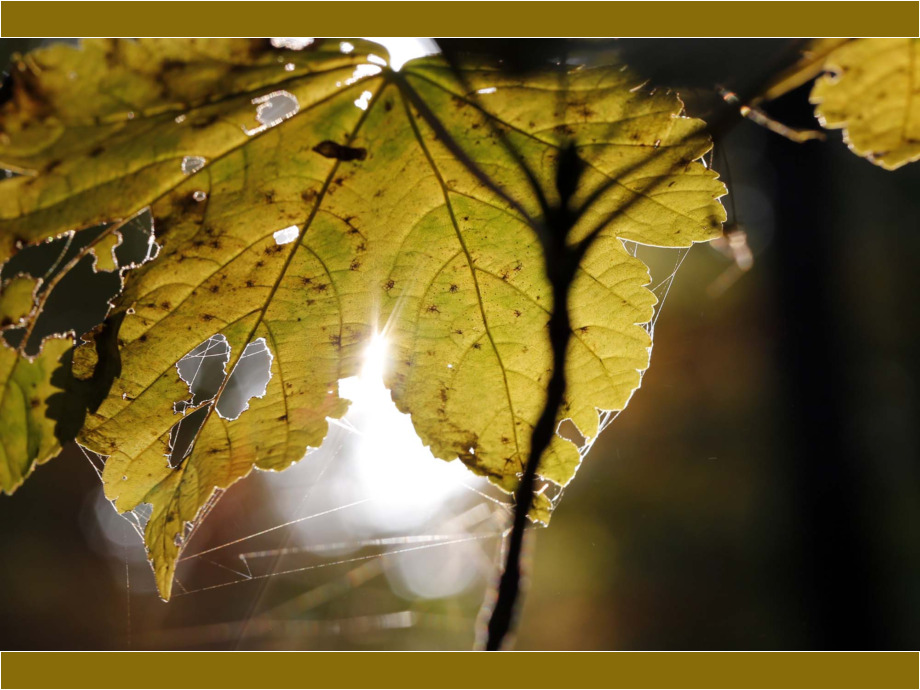 Sonnenlichtspiel
