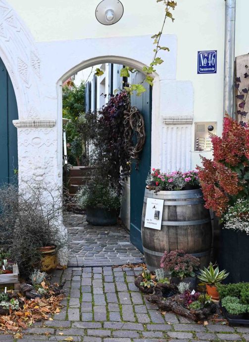 charmanter Durchblick charmanter Durchblick