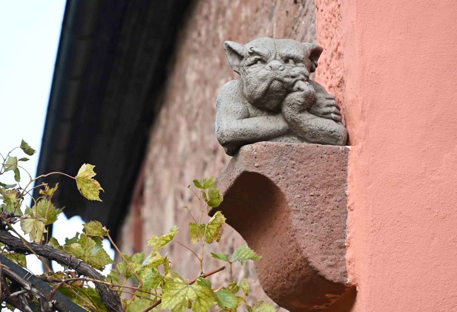 Was er sich wohl denkt? Was er sich wohl denkt?