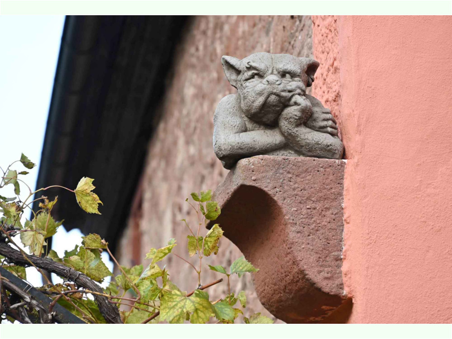 Was er sich wohl denkt? Was er sich wohl denkt?
